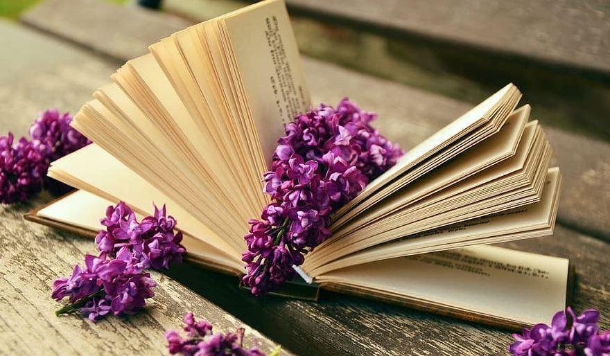 Un peu de lecture