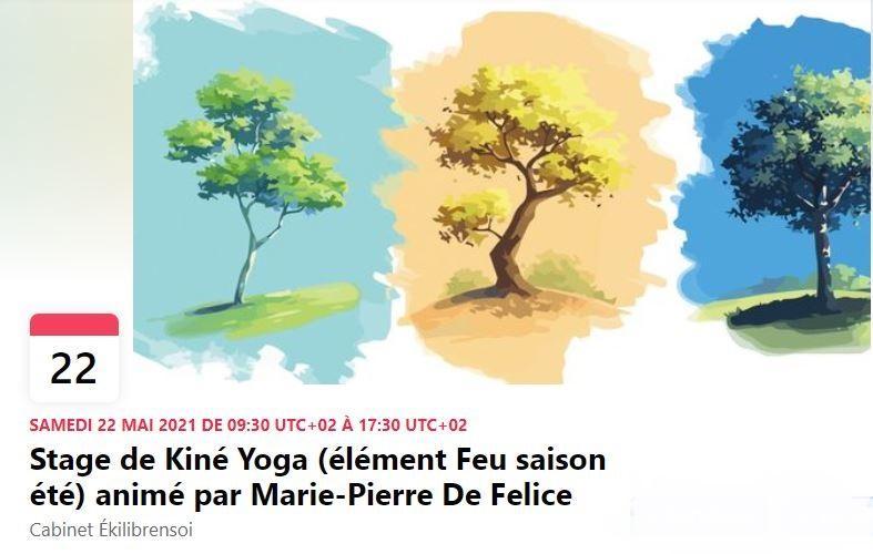 Stage Kiné Yoga
